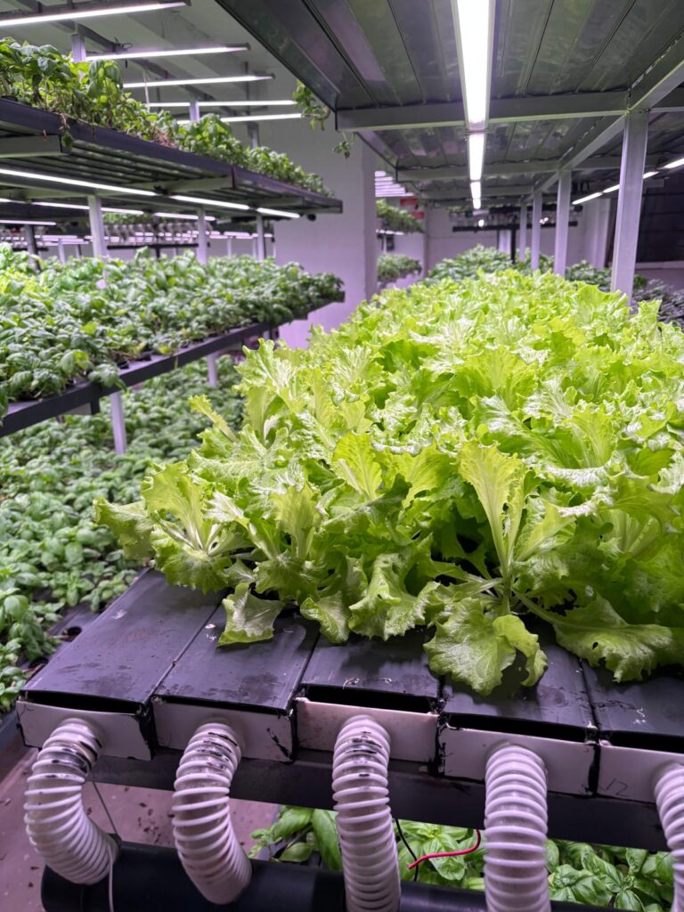 TED Koleji Öğrencileri, Batman OSB’de Bilim ve Teknoloji Temelli Geleceğin Tarımını İnceledi