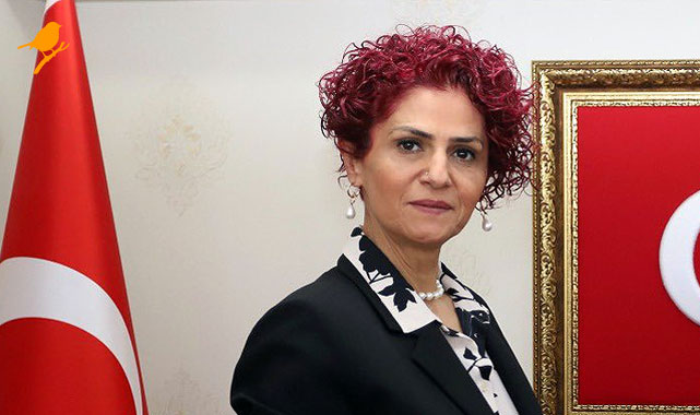 Gönül Boran Özüpak: “Büyüme Kime Yarıyor?”