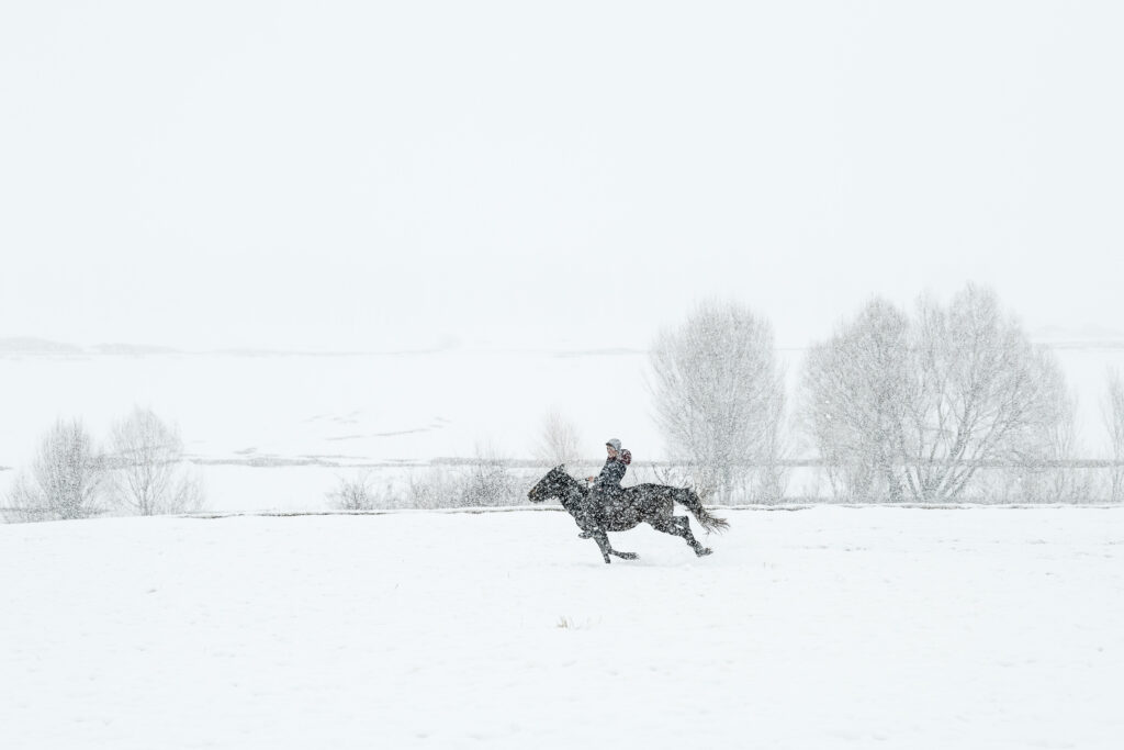 Hasan Cem Araptarlı’nın “Kar: Bir Hikâyenin İlk Cümlesi” Sergisi 7 Şubat’ta YAPI KREDİ BOMONTİADA’da Açılıyor