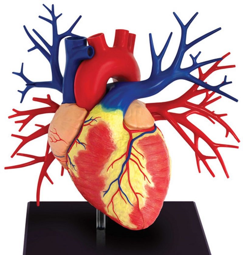 Türkiye, Suriye’de 12 Yıldır Kapalı Olan Kalp Hastanesini Ayağa Kaldırdı
