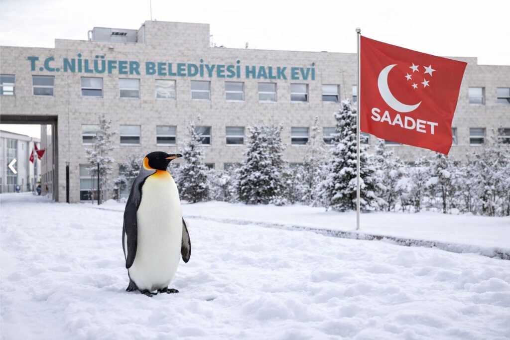 Saadet Nilüfer Gençlerinden Geleceğe Selam…