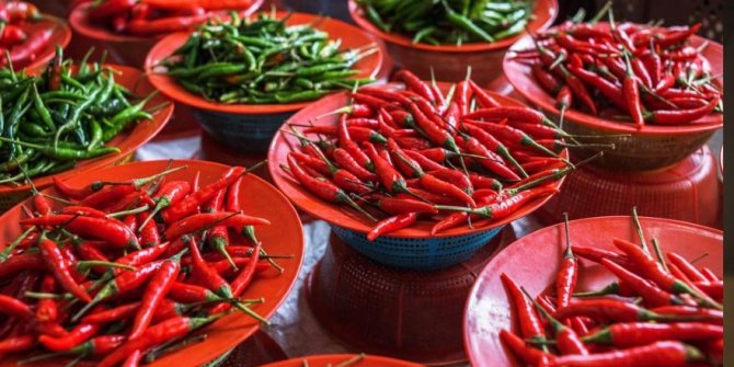 “Acı Biber Üzerinden Anadolu İnsanı”