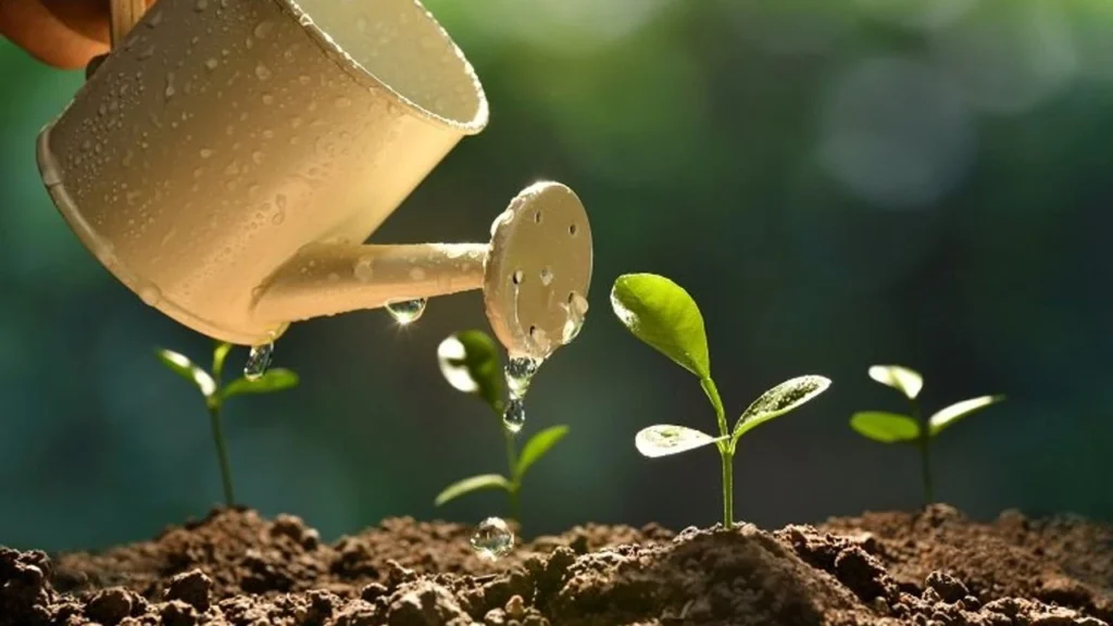 “Bakmak mı, Yetiştirmek mi?”