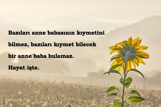 Yaşarken Kıymet Bilmek: Dostluğun Sessiz Gücü