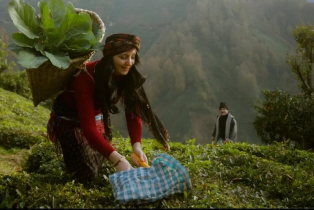 Karadeniz’in Güçlü Sesi Reyhan Öztürk Müzik Yolculuğunda Emin Adımlarla İlerliyor