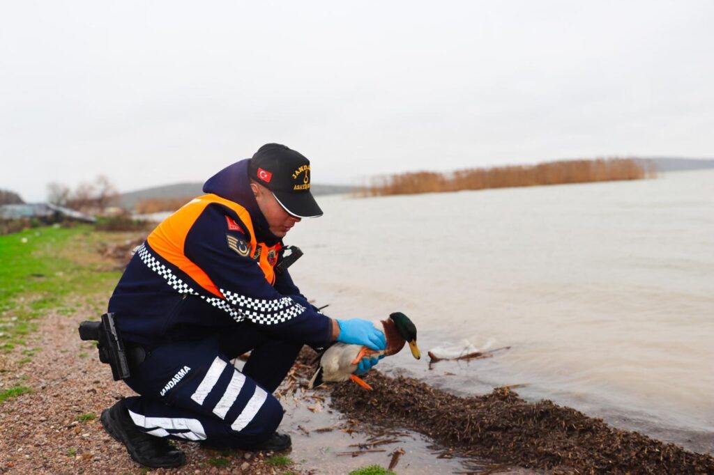 Nilüfer Jandarma’dan Ulubat Gölü’nde Kaçak Avcılığa Karşı Sıkı Denetim