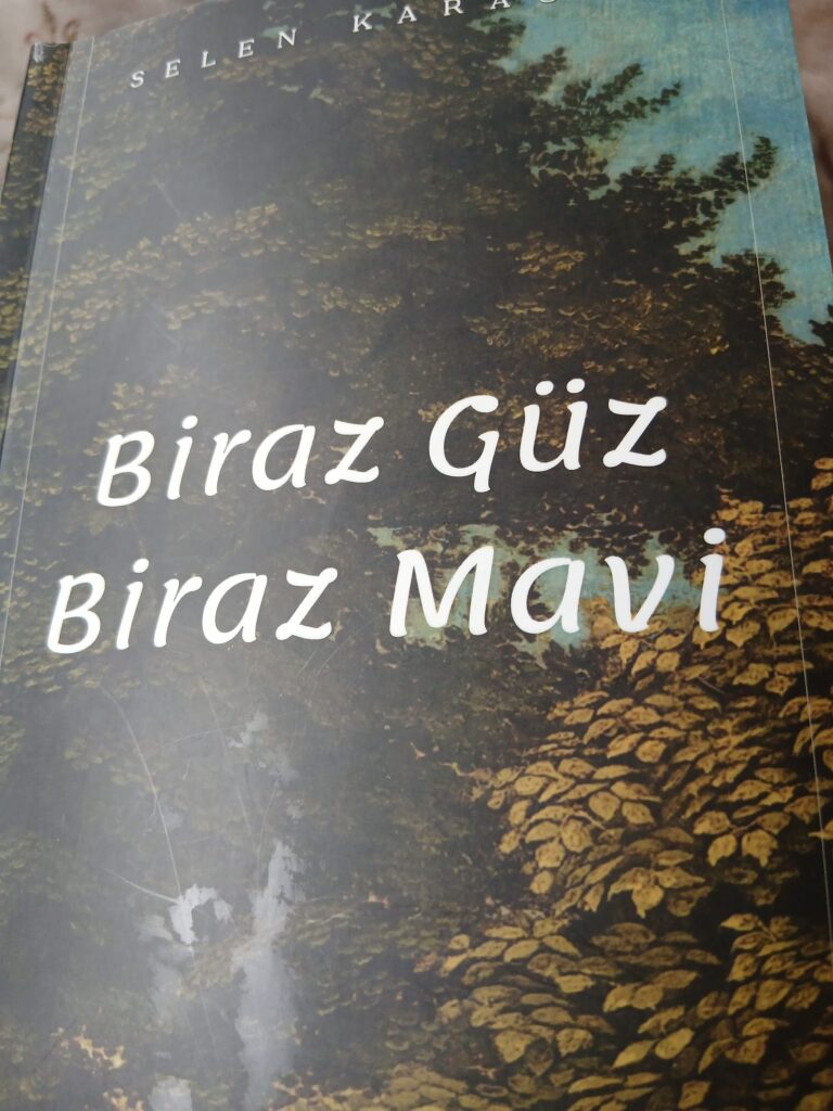 ARA RENKLERDE BİR YOLCULUK: BİRAZ GÜZ BİRAZ MAVİ