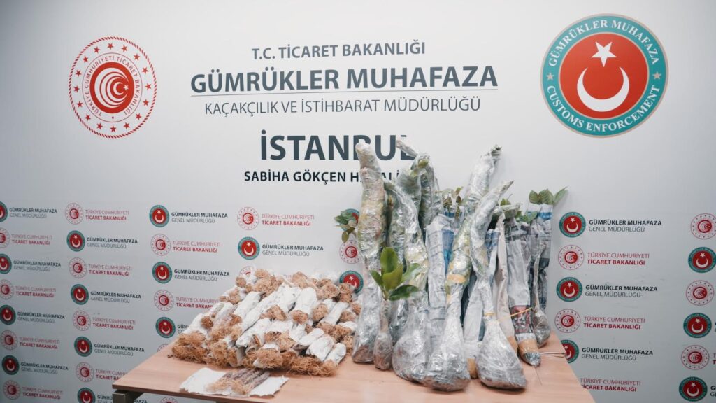 Gümrük Muhafaza Türkiye