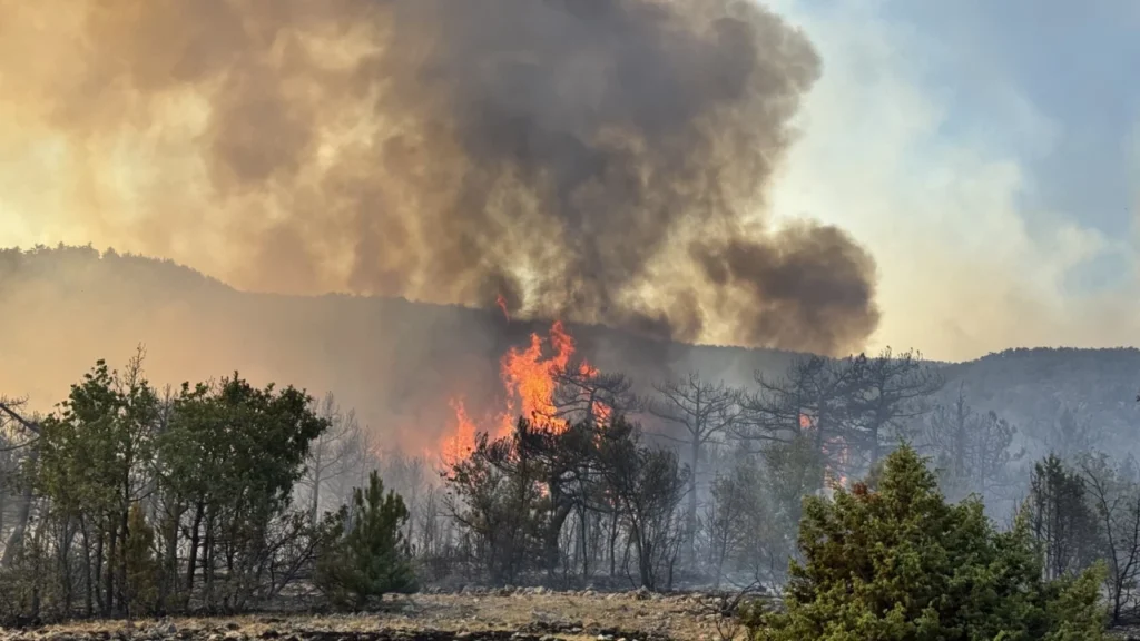 Orhaneli Erenler Mahallesi’nde Yangın Faciası: Acı Kayıp, Derin Yas