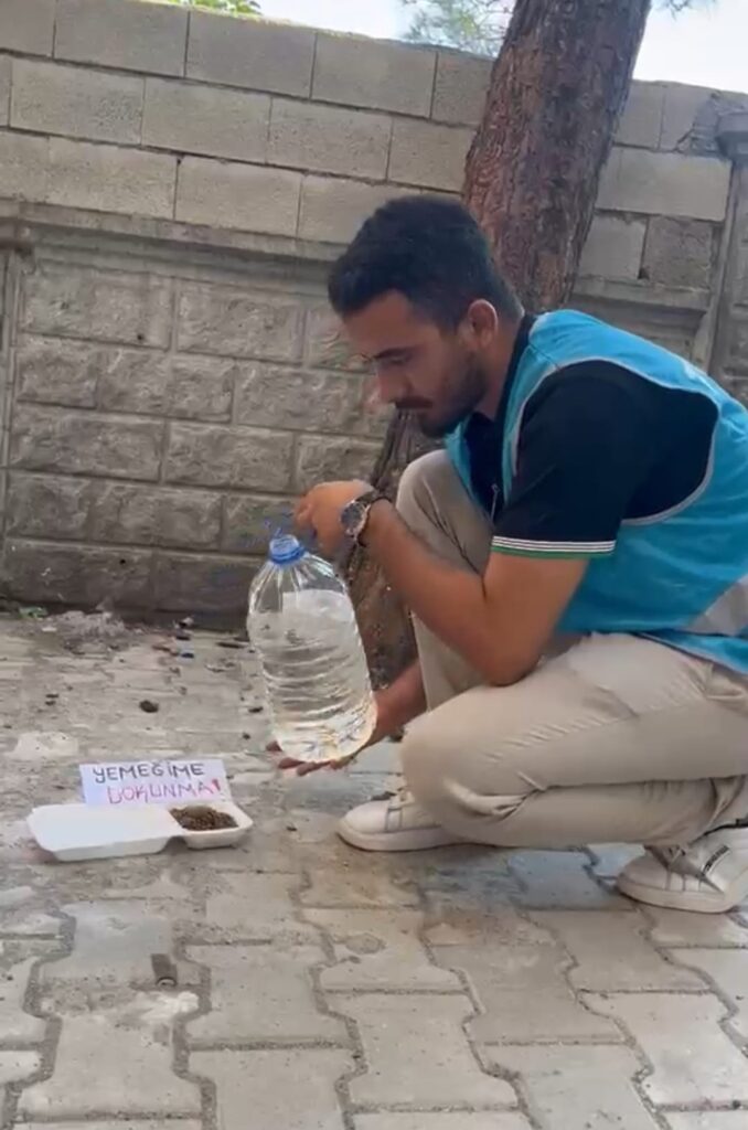 Mesut Çavuş’tan Sokak Hayvanları İçin Örnek Olacak Anlamlı Çağrı: “Bir Kap Su, Bir Kap Mama Bir Can Kurtarabilir”