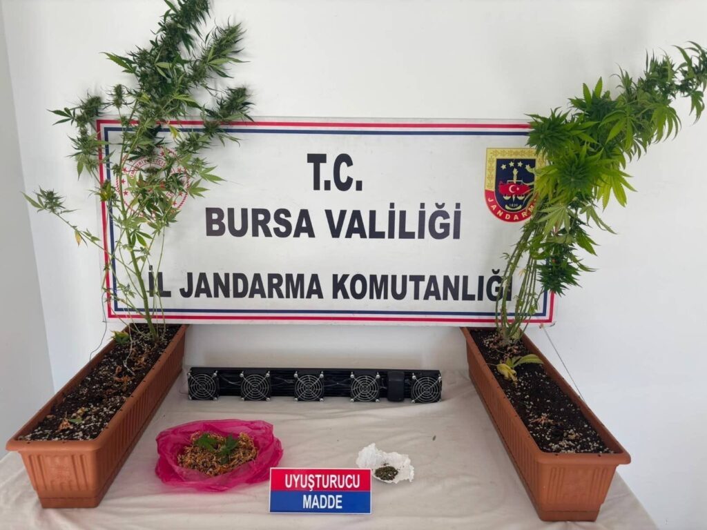 BURSA JANDARMASI’NDAN UYUŞTURUCU OPERASYONU: SKUNK, KENEVİR VE ESRAR ELE GEÇİRİLDİ