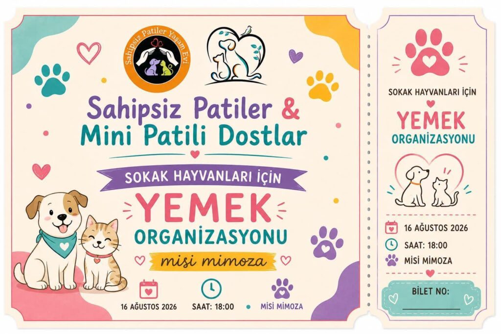 Sahipsiz Patiler ve Mini Patili Dostlar Sokak Hayvanları İçin Güçlerini Birleştiriyor
