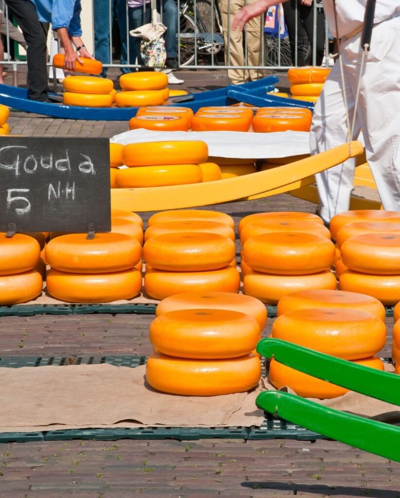 Hollanda’nın 700 Yıllık Geleneği Alkmaar Peynir Pazarı Ziyaretçilerini Büyülüyor