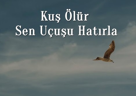 “Kuş ölür, sen uçuşu hatırla”