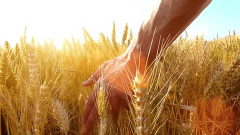 Zootekni Federasyonu’ndan 1 Ekim Mesajı: Üretimin Geleceğinde Zooteknistlerin Rolü Güçlendirilmeli